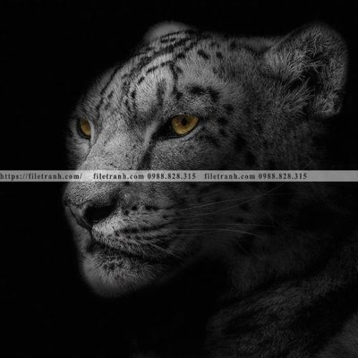 File tranh tranh con su tu 524 (ảnh gốc) chi tiết rõ ràng