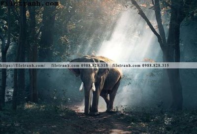 File in ấn tranh con voi 101 (bản gốc) chất lượng cao