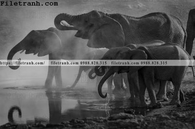 File gốc tranh con voi 109 (in mica) làm bảng hiệu