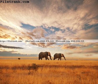 File in trần tranh con voi 112 (bản gốc) bầu trời