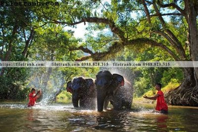 Tải file tranh con voi 114 (ảnh gốc) độ phân giải 300dpi