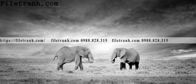 File ảnh tranh con voi 115 (gốc) in PP, decal