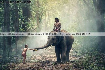 File tranh quảng cáo tranh con voi 122 (file gốc) chuyên nghiệp