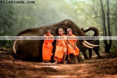 Ảnh gốc tranh con voi 124 (độ nét cao) in tráng gương