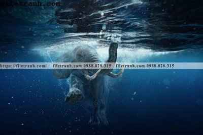 File gốc tranh con voi 127 (in 3D) cho trang trí