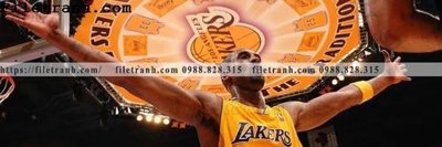 File tranh tranh dau giuong bong ro 100 (bản gốc) treo tường