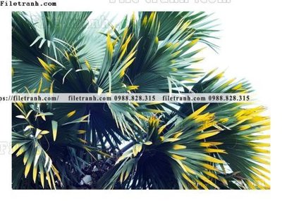 File tranh trang trí tranh decor hien dai tong hop 613 (tải file gốc)