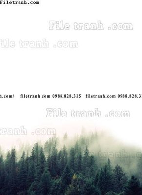 File PSD tranh decor hien dai tong hop 674 (bản gốc) đã tách nền