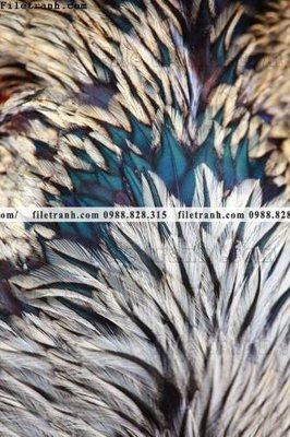 File gốc tranh decor hien dai tong hop 688 (ảnh rõ nét) để in