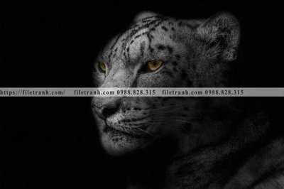 Tải file tranh den trang dong vat 521 (ảnh gốc) độ phân giải 300dpi