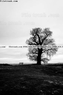 Tải file gốc tranh den trang phong canh 531 (in khổ lớn) không mờ