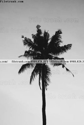 File in mica tranh den trang phong canh 535 (bản gốc) sắc sảo