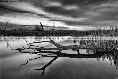 File gốc tranh den trang phong canh 543 (PSD/TIFF) độ phân giải cao