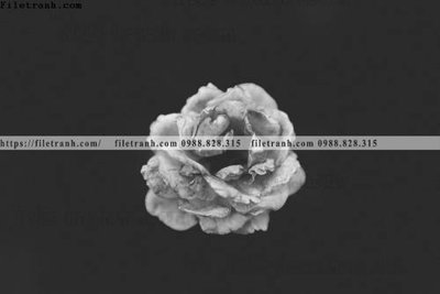 Tải file tranh den trang phong canh 558 (PSD) cho in tranh kính