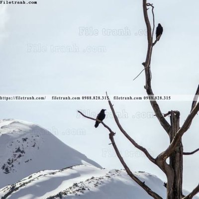 Tải file gốc tranh den trang phong canh 569 (in tráng gương) 3DFile gốc tranh den trang phong canh 569 (sẵn sàng in) chất lượng cao