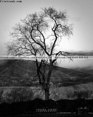 File gốc tranh den trang phong canh 581 (in lụa) tranh phong thủy