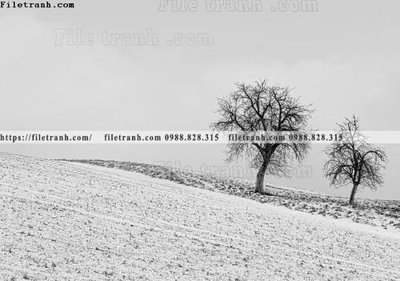 File PSD tranh den trang phong canh 582 (gốc) cho designer