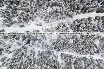 Tải file gốc tranh den trang phong canh 587 dùng cho in ấn