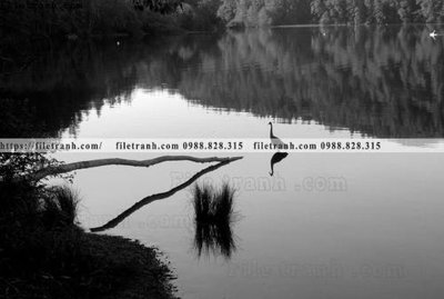 File tranh tranh den trang phong canh 591 (gốc) chủ đề trẻ em