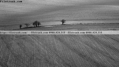 Mua file tranh gốc tranh den trang phong canh 593 tại Filetranh.com