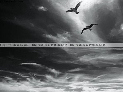 File tranh quảng cáo tranh den trang phong canh 596 (download file gốc)