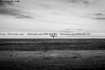 File tranh quảng cáo tranh den trang phong canh 602 (download file gốc)