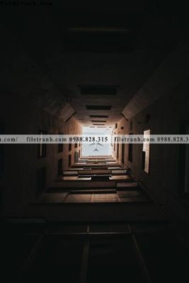 Ảnh gốc tranh hanh lang 3d 332 (nét căng) in mica