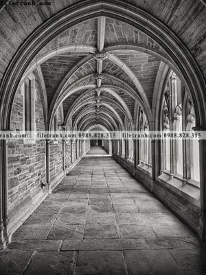 File tranh tranh hanh lang 3d 342 (gốc) in film