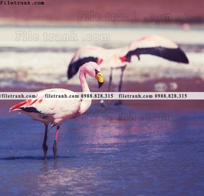 Ảnh gốc tranh hong hac dep 301 (siêu chi tiết) để in ấn