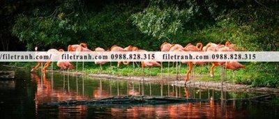 File gốc tranh hong hac dep 303 (in tráng gương) sang trọng