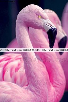 File gốc tranh hong hac dep 305 (thiết kế) độc quyền