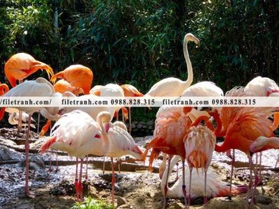 File gốc tranh hong hac dep 306 (chuẩn màu) cho in offset