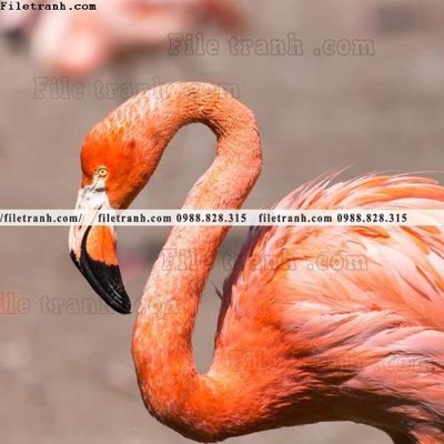 File ảnh tranh hong hac dep 314 (gốc) in quảng cáo ngoài trời