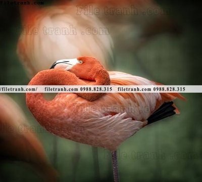 File in lụa tranh hong hac dep 323 (phong cảnh) tranh hong hac dep 323