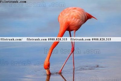 Download file gốc tranh hong hac dep 326 (độ nét cao)