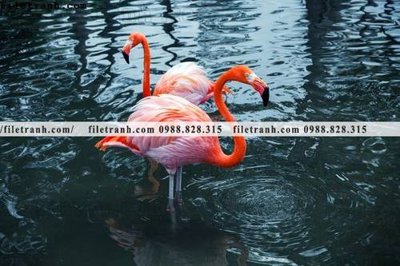 File gốc tranh hong hac dep 334 (phong cách) châu Âu