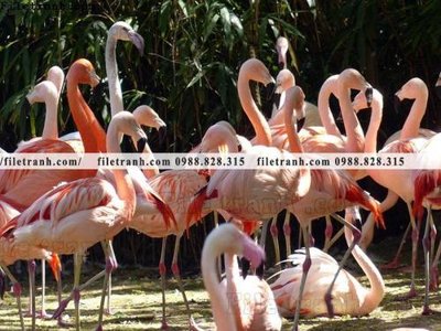 Tải file tranh hong hac dep 345 (ảnh gốc) file TIFF