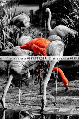 File tranh trang trí tranh hong hac dep 357 (file gốc)