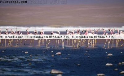 File gốc tranh hong hac dep 359 (in lụa) cao cấp