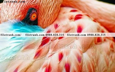 File gốc tranh hong hac dep 369 (ảnh chi tiết) để in trần