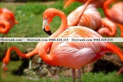 File in trần tranh hong hac dep 370 (file gốc) chủ đề vũ trụ