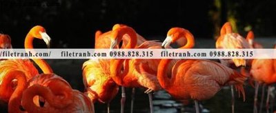 File in lụa tranh hong hac dep 373 (hoa văn) tranh hong hac dep 373