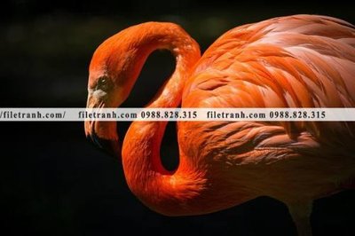 Tải file tranh hong hac dep 381 (gốc) in ấn chất lượng