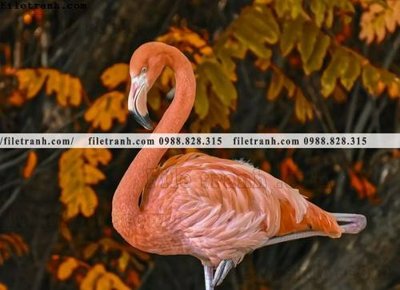 File gốc in ấn tranh hong hac dep 382 (sẵn sàng tải về)