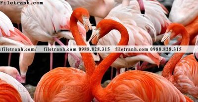 File ảnh tranh hong hac dep 383 (gốc) in backdrop sự kiện