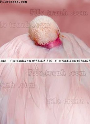 File ảnh tranh hong hac dep 386 (gốc) in PP, decal