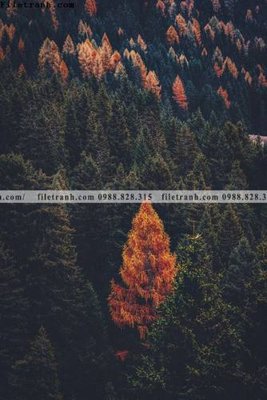 Tải file gốc tranh loi vao phong canh doc 500 (bản PSD) chỉnh sửa được