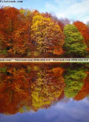 Hình ảnh file gốc tranh loi vao phong canh doc 508 (chất lượng cao)