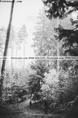 File tranh tranh loi vao phong canh doc 511 (file gốc) chuẩn màu in