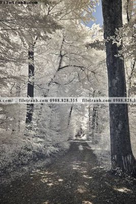 File PSD tranh loi vao phong canh doc 515 (gốc) nhiều lớp (multi-layer)